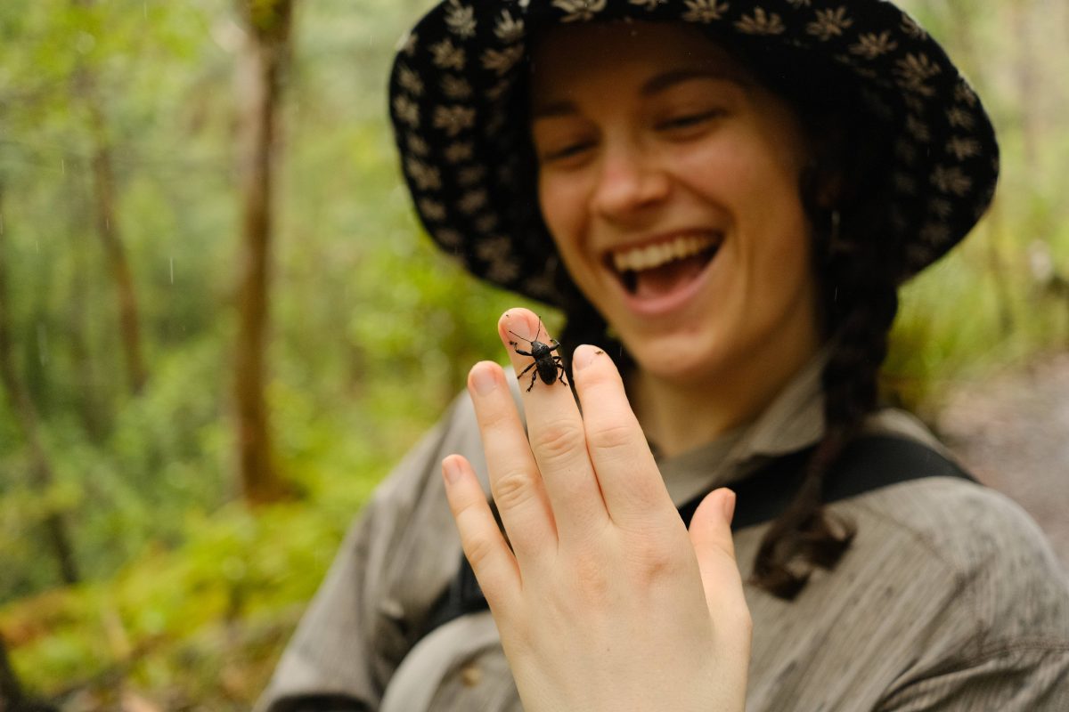 Not all bugs are scary, says the Invasive Species Council's Jess Ward-Jones, and she wants you to help her find them.