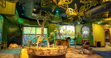 Your guide to a family-friendly holiday close to home