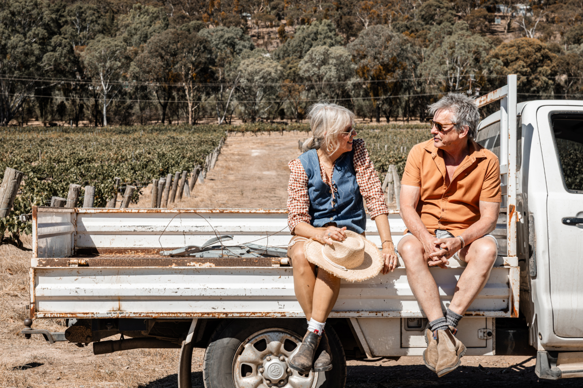 Two people on back of a ute in a vineyard.
