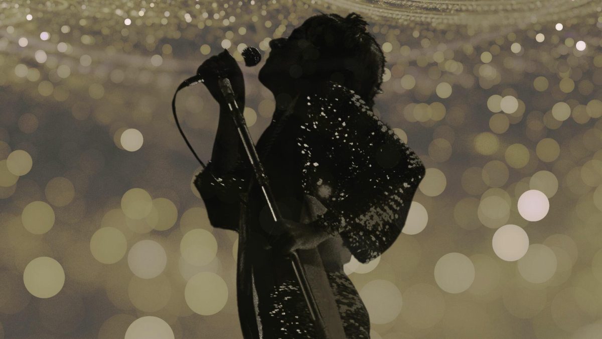 The UK Rod Stewart Show