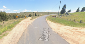 Police search for man who disappeared into bushland south of Cooma