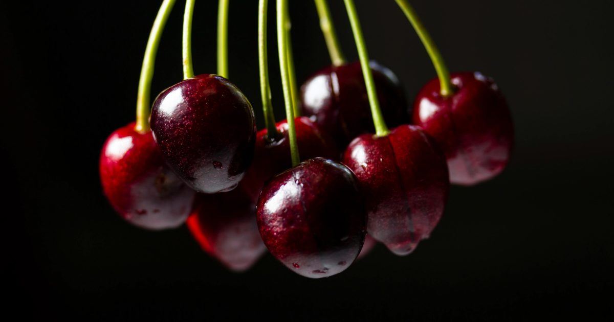 Cherry ready Hilltops comes alive as orchards welcome visitors