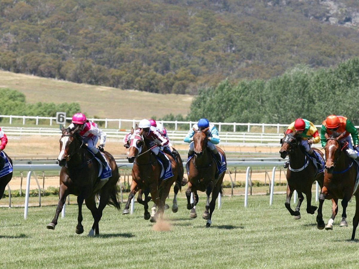 Goulburn Thoroughbred Racing - Christmas Cup