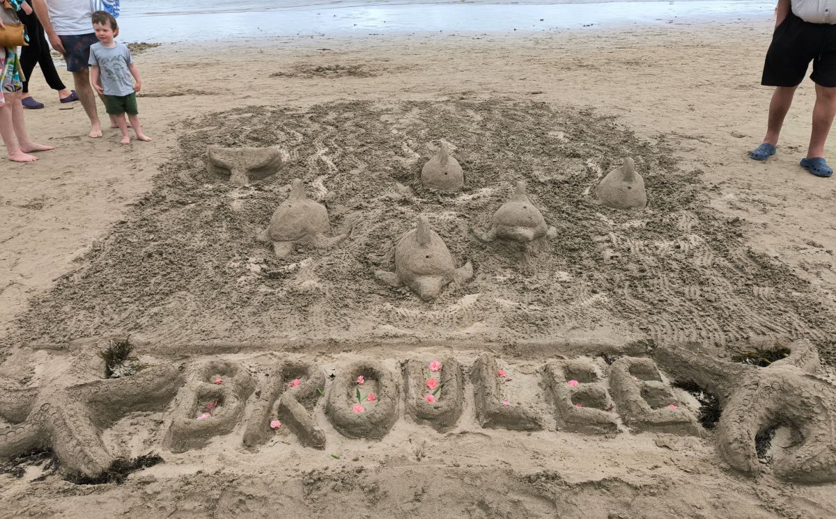 sand sculpture of dolphins in water, Broulee lettering, and starfish