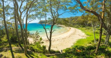 Beyond the crowds: 7 underrated beaches near Batemans Bay