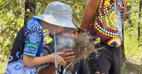 Cultural fire practitioners converge near Bermagui to heal koala habitat
