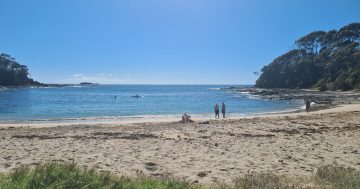 Search resumes for man missing in South Coast waters