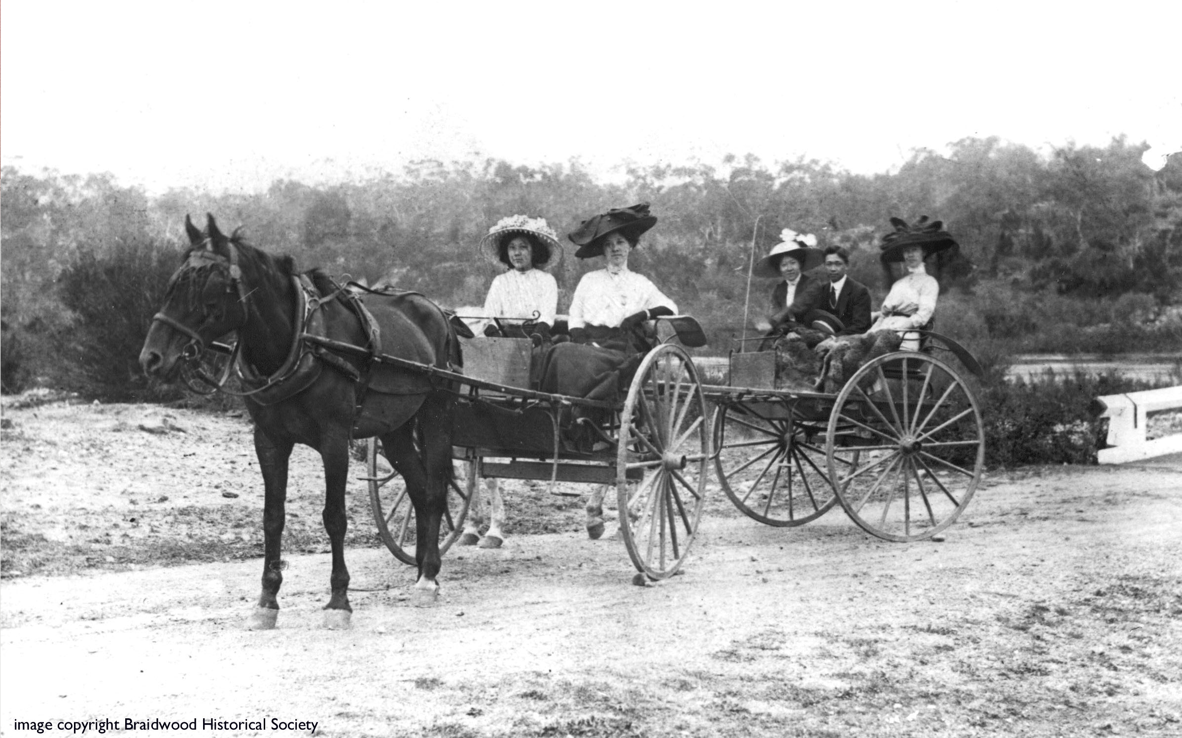 Historic image of women on horse drawn sulkies. 