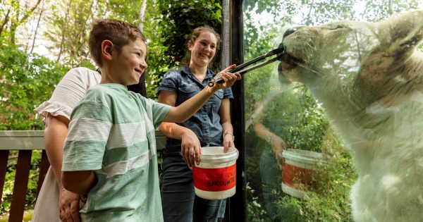 Want more than a classic zoo visit? Go behind the scenes, where every day is different