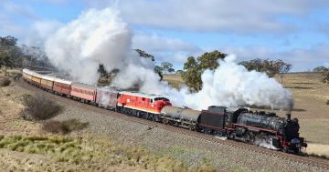 A boy's obsession with steam turns into full-time job on The Picnic Train