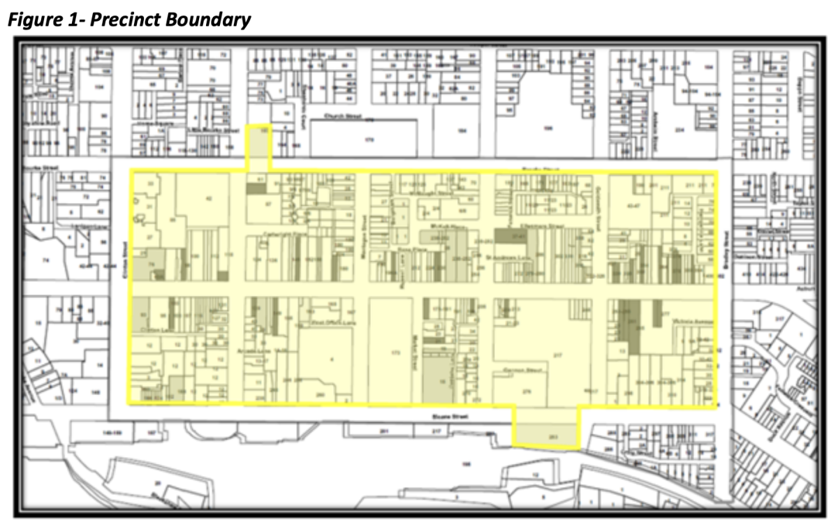 A map of the proposed Special Entertainment Precinct in Goulburn