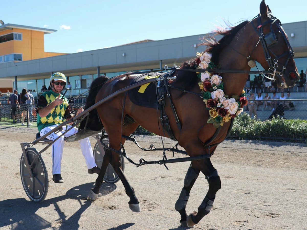 Goulburn Harness Racing