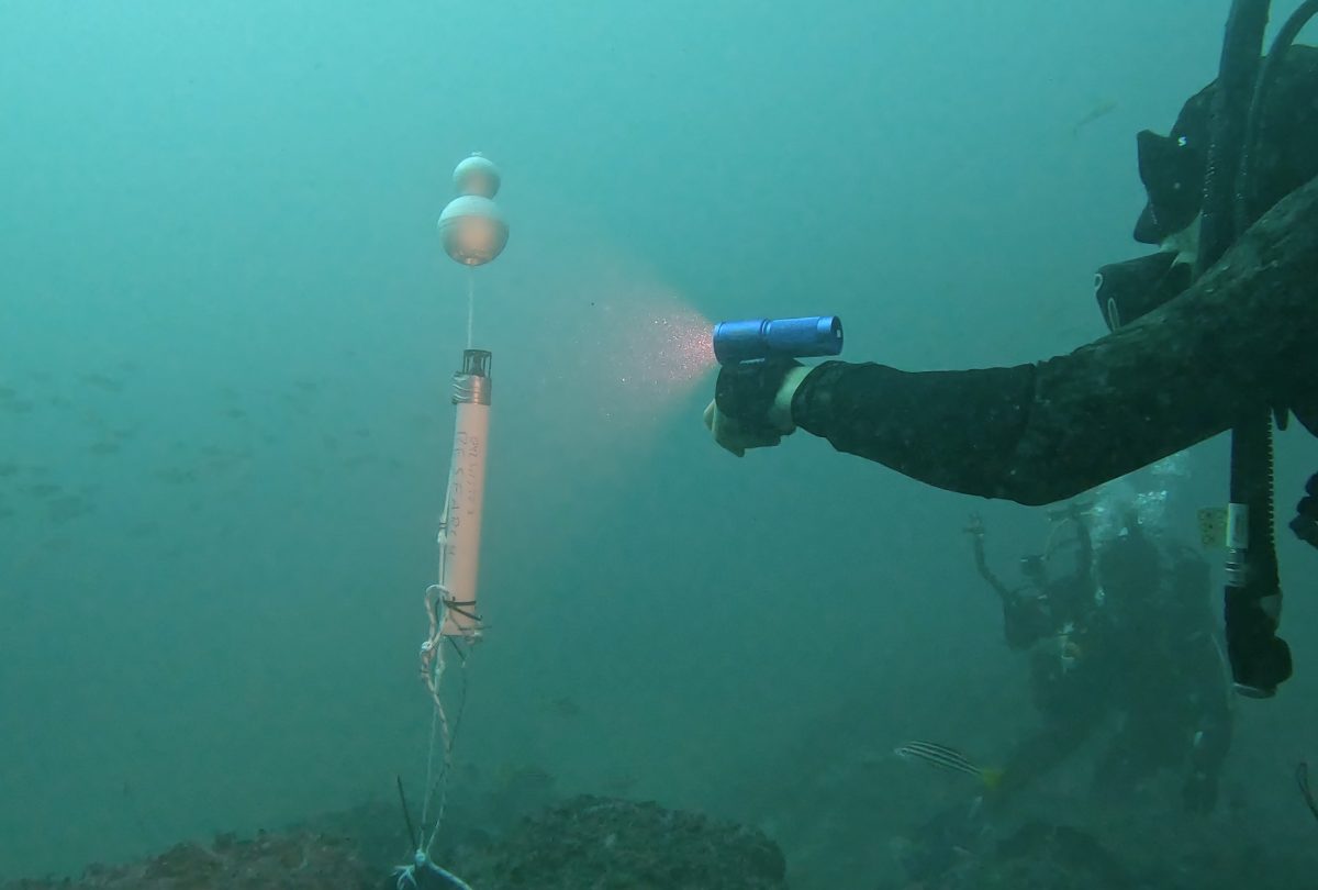 A man underwater shining a light on an underwater hydrophone