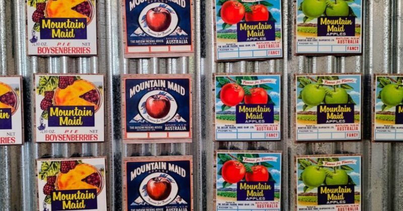 Bringing Mountain Maid home: Batlow’s lost brand finds new life