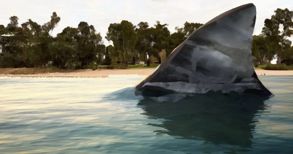 Should we beware of 'Murrumbidgee Mud Sharks' this summer?