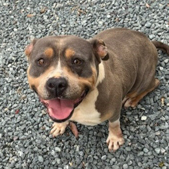 Medusa has a proud pedigree - and a penchant for preying on poultry. 