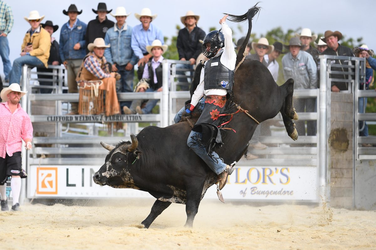bull and rider mid-buck
