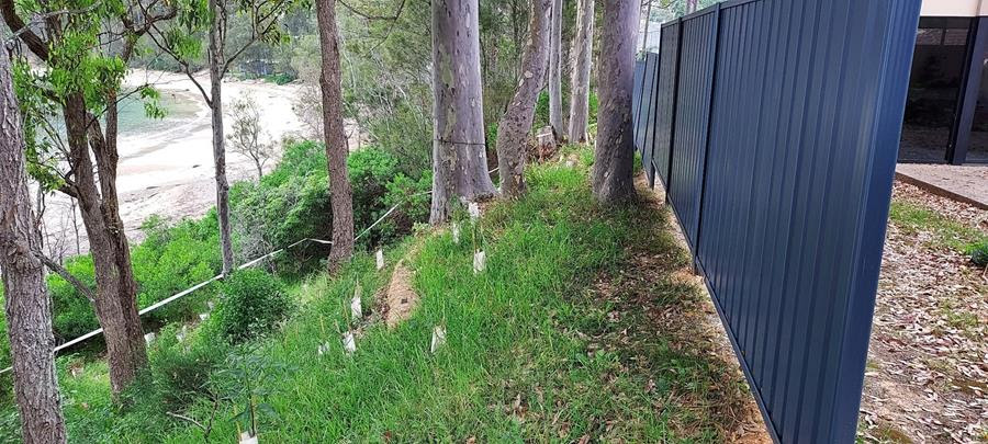 A fence put up next to removed vegetation