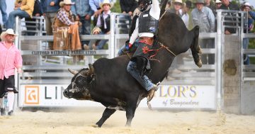 The Moruya Rodeo crew is saddling up for the masses