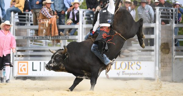The Moruya Rodeo crew is saddling up for the masses