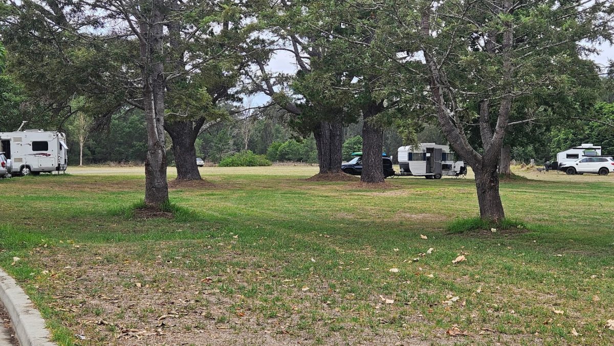 campers in park