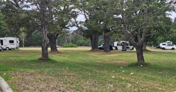 Public concerns grow as campers home in on Moruya's Riverside Park