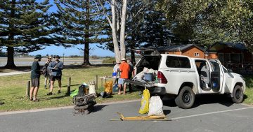 Call for volunteers for shoreline revitalisation project creating food and habitat for wildlife