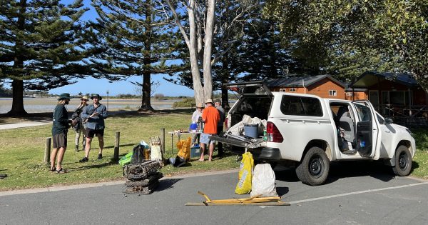 Call for volunteers for shoreline revitalisation project creating food and habitat for wildlife
