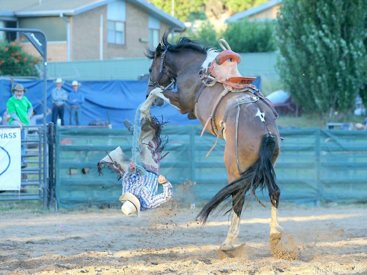 AgriWest Cooma Rodeo