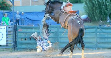 Things to do in the regions this week (30 January - 5 February)