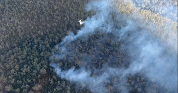 Firefighters navigate inaccessible terrain to battle bushfire in Wadbilliga National Park