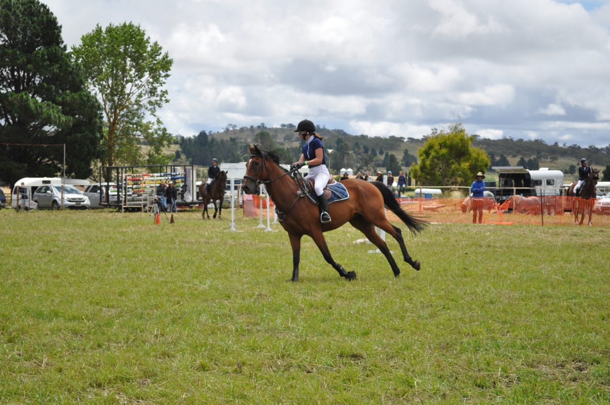 Nimmitabel Show 2026