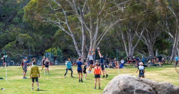 Things to do in the regions this week (9 – 15 January)