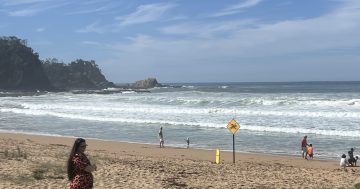 Two South Coast drownings mark horror start to year, lifesavers plead for beachgoers to know the signs