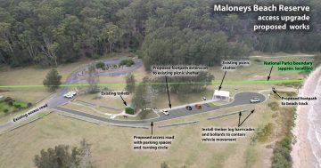 How will Eurobodalla councillors be briefed about agenda items before meetings in light of reforms?