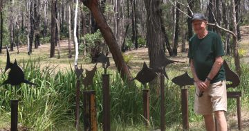 Call for Far South Coast councils and businesses to dig deep for art in public spaces