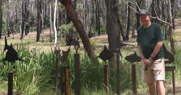 Call for Far South Coast councils and businesses to dig deep for art in public spaces