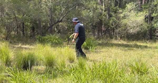 Police say Nowra death 'not random' after new information