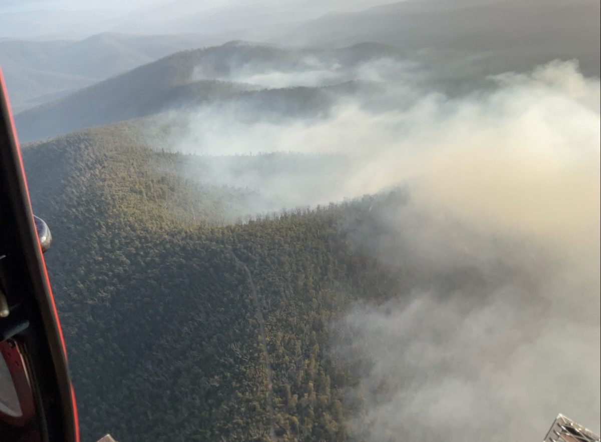 brassknocker fire trail smoke