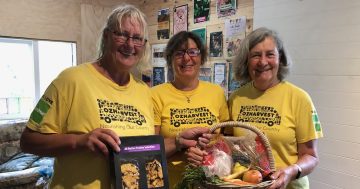 Cobargo gives thumbs up to new community hub