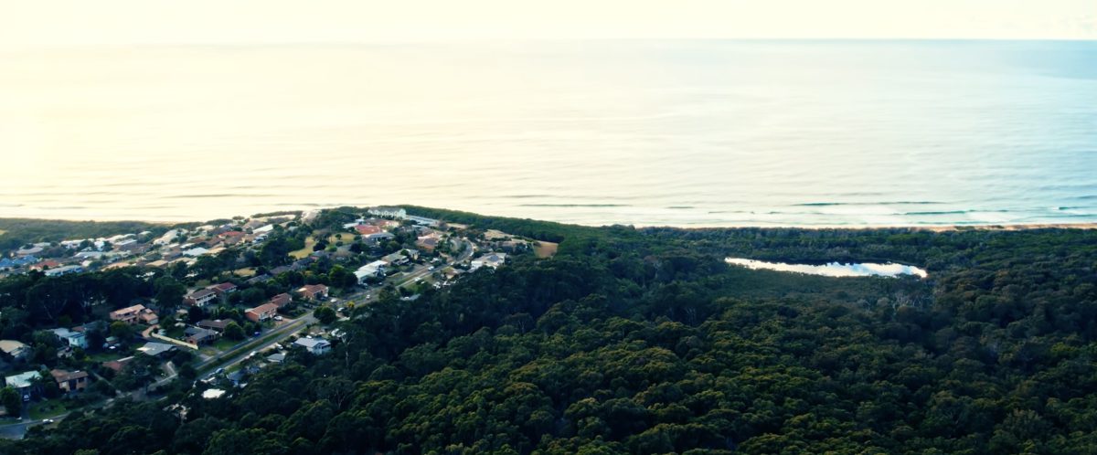 coastal area with houses and bushland