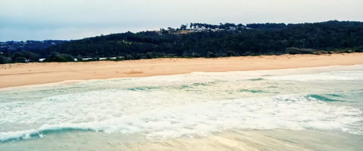 beach with bushland backdrop