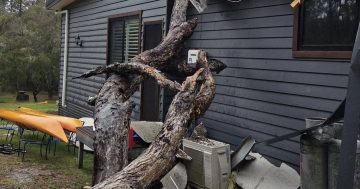 Campers told to move to higher ground as more rain lashes the coast