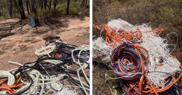 Industrial waste illegally dumped in Snowy Valleys forest