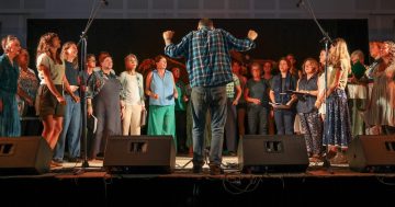 Stellar international and local line-up for Cobargo Folk Festival