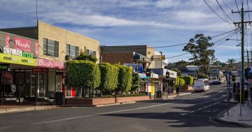 Bega Council flags more consultation to make coastal CBD 'even better'