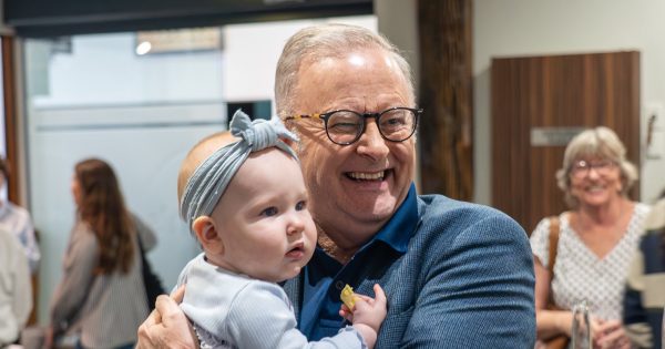 Albo dismisses One Nation proposal to force GPs to serve in rural areas