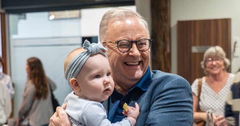 Albo dismisses One Nation proposal to force GPs to serve in rural areas