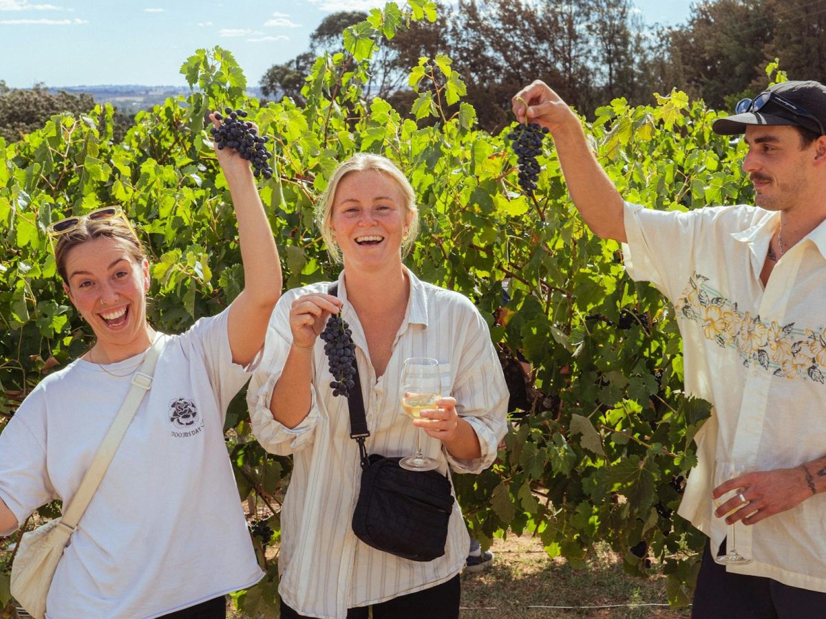 Grape Meets Foot - Harvest & Stomp Festival