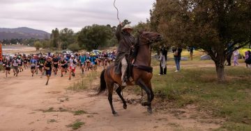 Things to do in the regions this week (20 – 26 February)